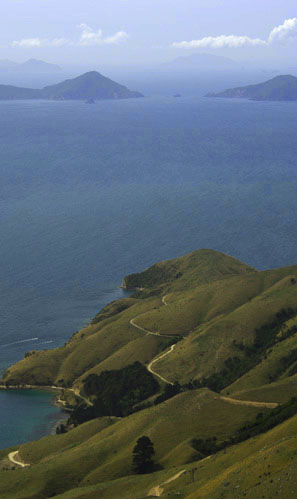 ニュージーランドの海の見える丘